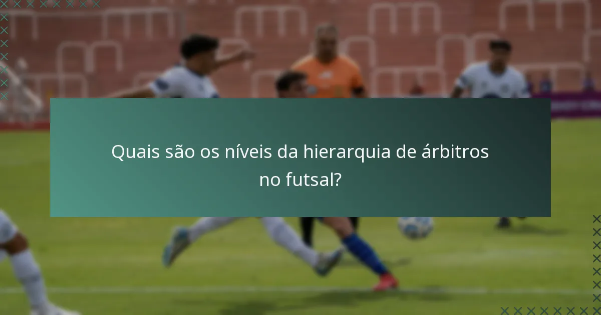 Quais são os níveis da hierarquia de árbitros no futsal?